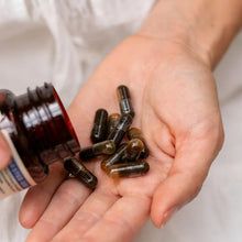Load image into Gallery viewer, Motherlove - More Milk Special Blend  Liquid  60 Capsules
