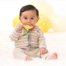 Load image into Gallery viewer, Infantino Lion Teether
