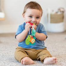 Load image into Gallery viewer, Infantino Safari Teething Pals
