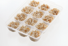 Load image into Gallery viewer, Richell Baby Food Freezer Tray
