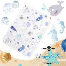 Load image into Gallery viewer, Knicknacks Waterproof with Anti-skid Pad 70x110cm

