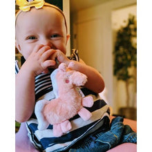 Load image into Gallery viewer, Itzy Ritzy Sweetie Pal™ - Pacifier &amp; Stuffed Animal
