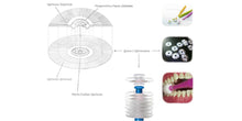 Load image into Gallery viewer, 360do Circular Toothbrush for Adults
