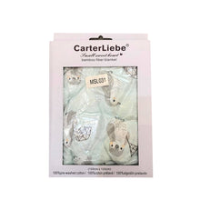 Load image into Gallery viewer, Carter Liebe Bamboo Fiber Blanket
