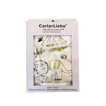 Load image into Gallery viewer, Carter Liebe Bamboo Fiber Blanket
