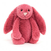 Load image into Gallery viewer, Jellycat - Medium Bashful Bunny
