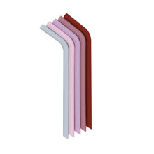 Load image into Gallery viewer, We Might Be Tiny Bendie Straws
