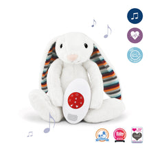 Load image into Gallery viewer, Zazu Baby Sleep Soothers - Coco and Bibi
