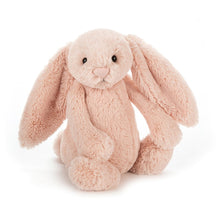 Load image into Gallery viewer, Jellycat - Medium Bashful Bunny
