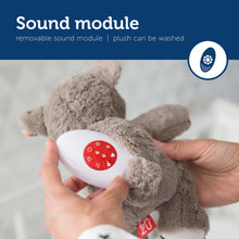 Load image into Gallery viewer, Zazu Baby Sleep Soothers - Coco and Bibi
