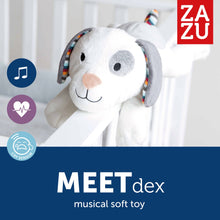Load image into Gallery viewer, Zazu - Baby Sleep Soothers - Dex, Liz, and Don
