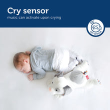 Load image into Gallery viewer, Zazu - Baby Sleep Soothers - Dex, Liz, and Don
