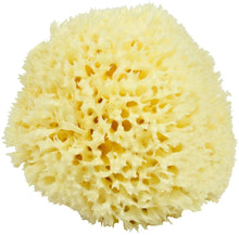 Load image into Gallery viewer, Bellini Natural Honeycomb Bath Sponge
