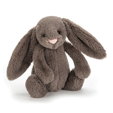 Load image into Gallery viewer, Jellycat - Medium Bashful Bunny
