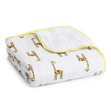 Load image into Gallery viewer, Aden + Anais Classic Dream Blanket
