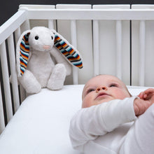 Load image into Gallery viewer, Zazu Baby Sleep Soothers - Coco and Bibi
