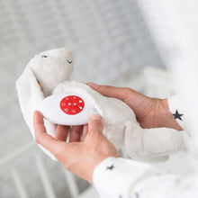 Load image into Gallery viewer, Zazu Baby Sleep Soothers - Coco and Bibi
