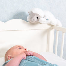 Load image into Gallery viewer, Zazu - Baby Sleep Soothers - Dex, Liz, and Don
