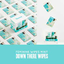 Load image into Gallery viewer, Tamme Down There Feminine Wipes 12pcs
