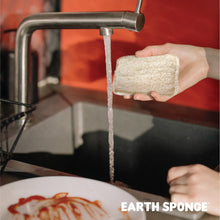 Load image into Gallery viewer, Zippies Earth Sponge Duo Gentle Scrub 4-pack
