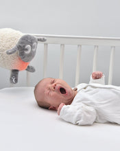 Load image into Gallery viewer, Ewan The Dream Sheep - Grey - Deluxe
